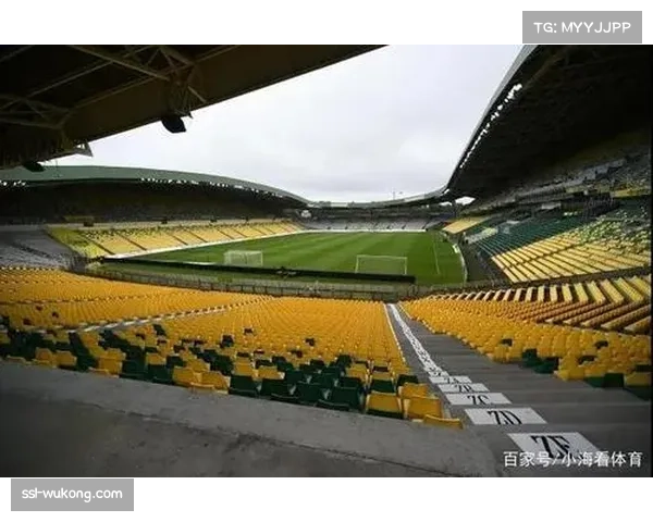 法甲球场升级LED显示屏，提升视觉体验